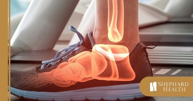 Biomechanical Analysis